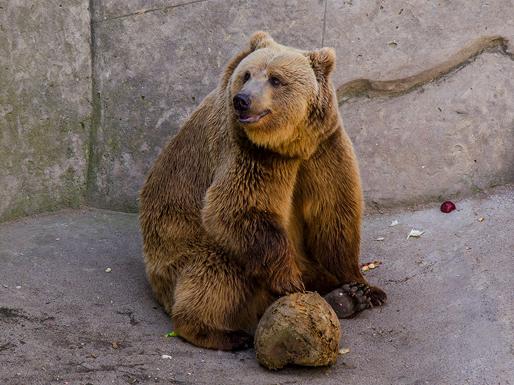 Менский зоопарк